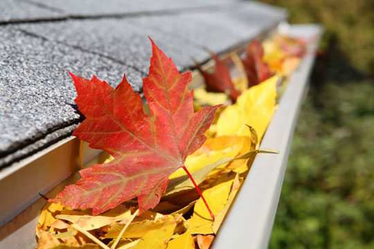 Fall_Home_Maintenance_for_Military_Homeowners
