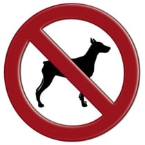 dog-banned-breedAdobeStock_42382302.jpg